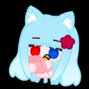 코코냐 하우스!