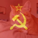 Dictator murri V2
