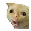 INVADIR LIVES (GUILHERME)