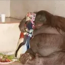 Monkey Paradise's icon