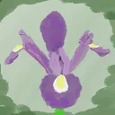 Foxglove Patch
