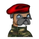LaMas_TV