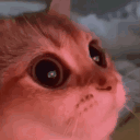 StudyHub #yks26 | kocumbe.com's icon