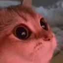 StudyHub #yks26 | kocumbe.com discord icon