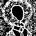 Portrait Prophecies