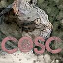 OOCoSC - The OOC discord of Chosen of StarClan Discord Server Icon