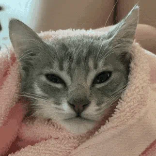 аээээээ — Дискорд Сервер