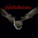 Nachtschwärmer 🦇
