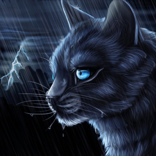The Forgotten Cats  Discord Server List The Forgotten Cats  Discord Server List