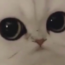 DoubleDickDudeServer Server Icon