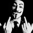 петушарник (который зеи нсайт) — мониторинг Discord сервера, статистика и рейтинг