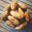 Spud Buds
