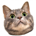 the Nuf gnang Server Icon