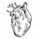 Heart Disease Support Group