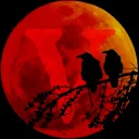 Vampires, Werewolves and Humans Roleplay