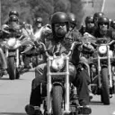 Futura faccion (American Life)