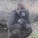 kakeruのお部屋