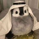Terrytam's Server
