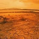 wastelands