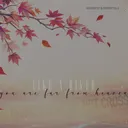 ⊹ like a river