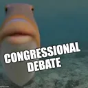 Congressional Debate!!