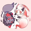 🌙Zorua's Nest🌙