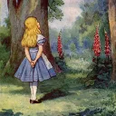 Wonderland