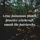 Practical Magic