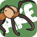 Ant-Keeping & Ethology