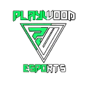 PLAYWOOD ESPORTS