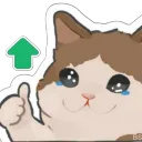 Klaisen's SadCat Folder