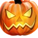 pumkin spice shinys