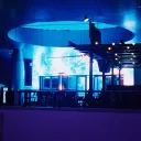 Blue Hour - Film & Photography