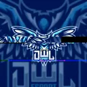 OWL ESPORT