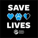 Humane World for Animals Discord Server Icon