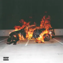 Discovery icon for Reece Brunke Discord server