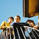 Wallows