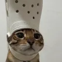 post nut clarity club 2.0 Discord Server Icon