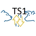 trading stock 101