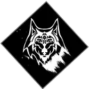 The Wolves Order Fire Team Chat