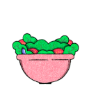 Dan's Salad Bowl icon