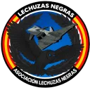 Lechuzas Negras 🦉