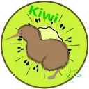 Kiwi360 🥝