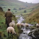 The Raster Pasture