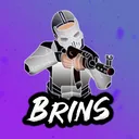 Brins' Playpen