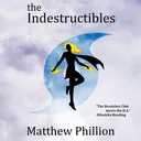 theIndestructibles
