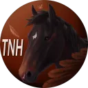TNH OPEN SERVER