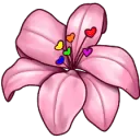 ♡ 𝓁𝒾𝓁𝒾𝑒𝓈 ♡