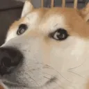 sleepycord memories