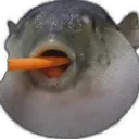 Чикиры